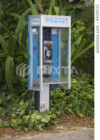凝視威基基海灘的藍色電話亭 凝視威基基海灘的藍色電話亭 4420515