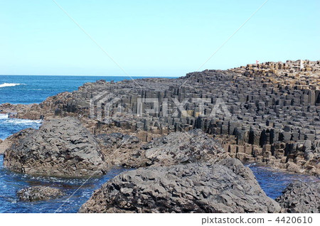 巨人隊·銅鑼灣 4420610