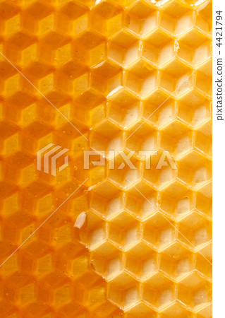 fresh honey in comb fresh honey in comb 4421794
