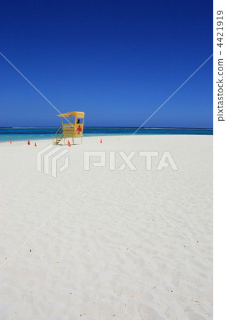 白沙 旅遊勝地 度假 4421919