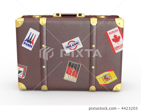 Leather suitcase 4423203