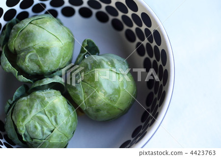 球芽甘藍 迷你蔬菜 生吃蔬菜 4423763