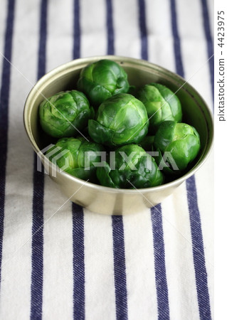 Brussels sprouts 4423975