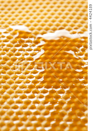 fresh honey in comb 4424189