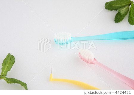 Mint and toothbrush Mint and toothbrush 4424431