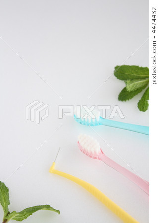 Mint and toothbrush Mint and toothbrush 4424432