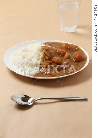 Curry and rice Curry and rice 4424608
