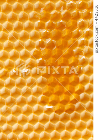fresh honey in comb fresh honey in comb 4425316
