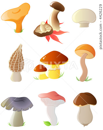 glossy forest mushrooms 4426229