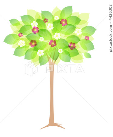 spring flowering tree spring flowering tree 4426302