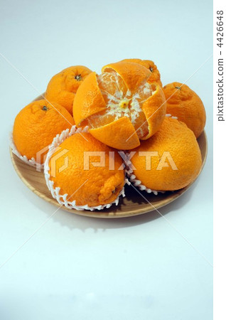 努力工作 4426648