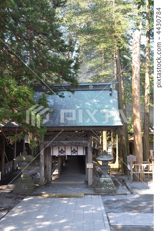 諏訪大社 神社和廟宇 鋪路 4430784