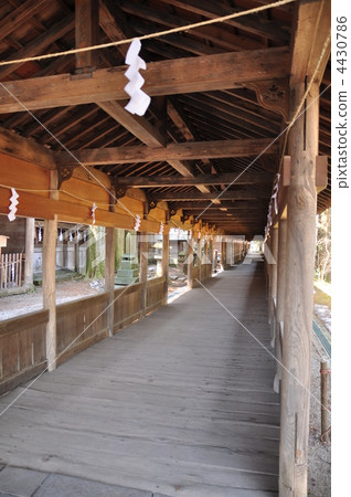 wooden approach, suwa taisha shrine, pray road 4430786