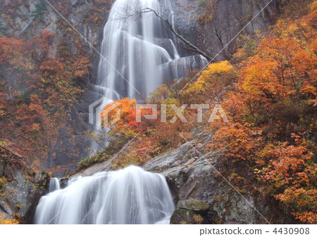 秋葉_ Nakanoshimaya谷_Ansei瀑布 4430908