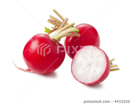 Radish 4431030