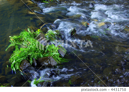 Cutting grass and flow Cutting grass and flow 4431758