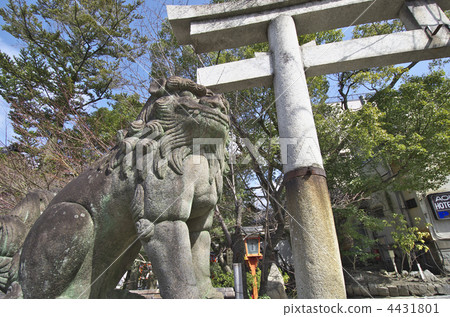 Kyoto Yasui Kinpiraku Shrine Guardian dog Kyoto Yasui Kinpiraku Shrine Guardian dog 4431801