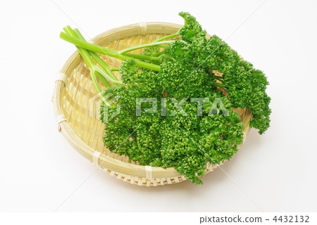 Parsley Parsley 4432132
