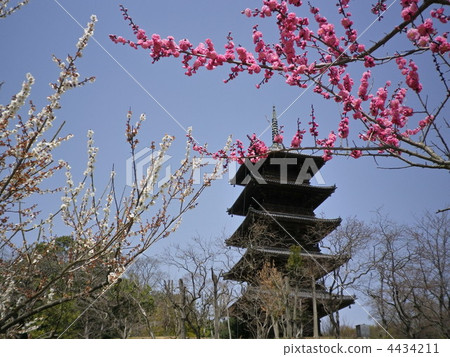 備中國分寺 建築 五重塔 4434211