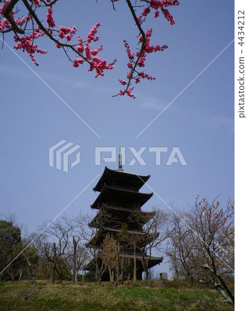 Kibiji的風景 Kibiji的風景 4434212