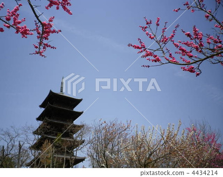 岡山縣春天的國分寺 4434214