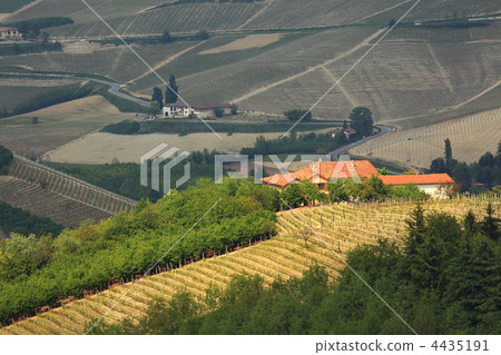Rural house on the hill in Piedmont, Italy. Rural house on the hill in Piedmont, Italy. 4435191