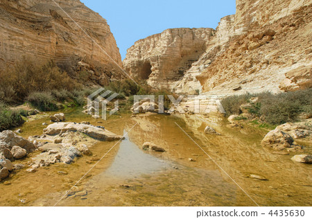 Ein Avdat Canyon. Israel. 4435630