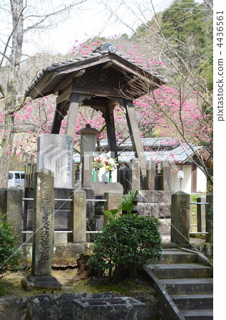 Nichiji daughter tower 4436561