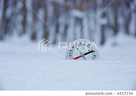 探索工具和雪林 探索工具和雪林 4437239