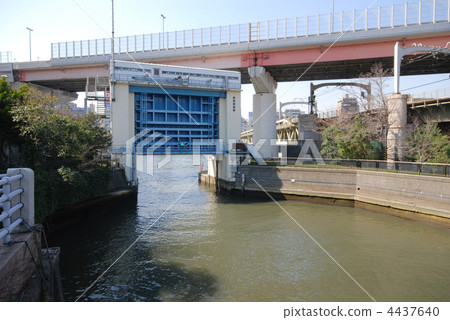 隅田川隅田川 4437640