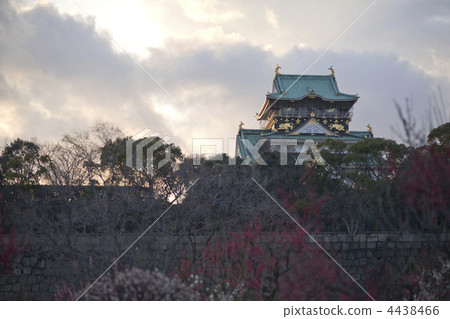 大阪城堡梅花樹林 大阪城遺跡 大阪城塔 4438466