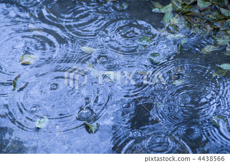 漣漪 波紋 下雨 4438566