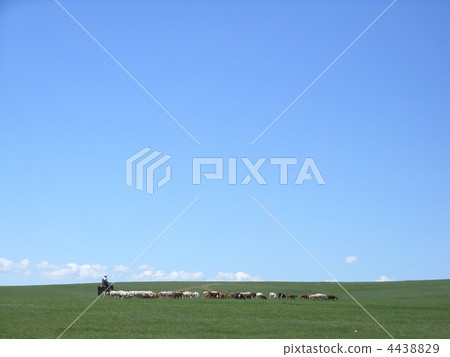 Mongolian prairie Mongolian prairie 4438829