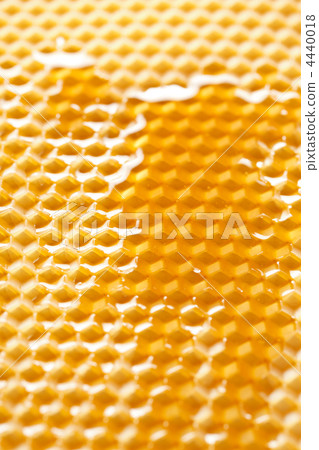 fresh honey in comb fresh honey in comb 4440018