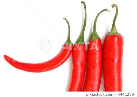 Chili pepper 4441230
