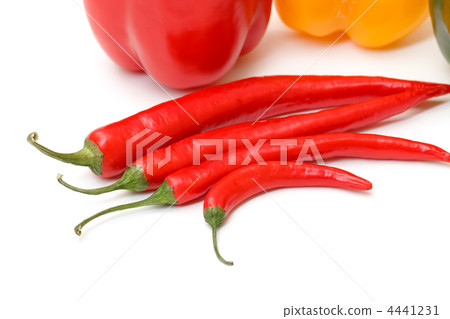 Chili pepper and paprika 4441231