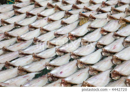 fish market in Asia / South Korea 4442720