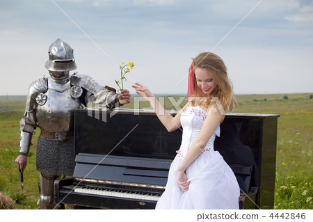 long-awaited meeting / Princess Bride and her knight long-awaited meeting / Princess Bride and her knight 4442846