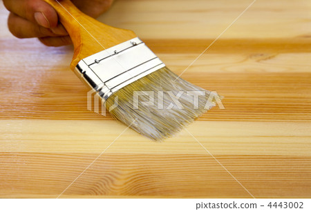 Wood texture, human hand and paintbrush / housework background 4443002
