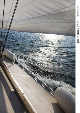 Sailing into the wind / sunlight 4443040