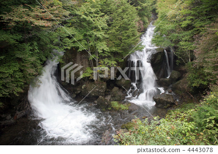 Crown waterfall (crown rattling) 4443078