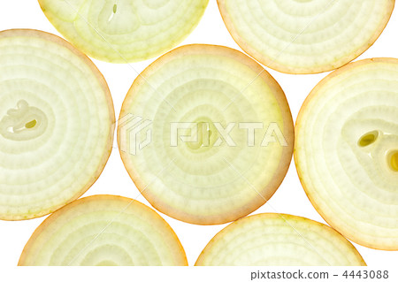 Slices of fresh Onion / background / back lit Slices of fresh Onion / background / back lit 4443088