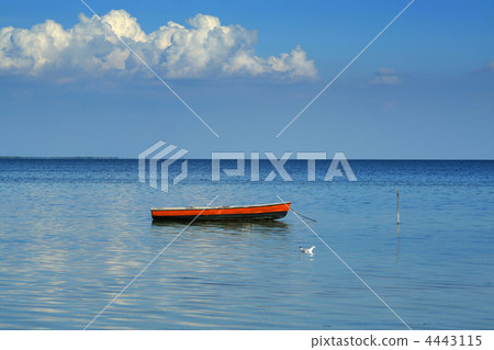 One boat, one seagull and one cloud One boat, one seagull and one cloud 4443115