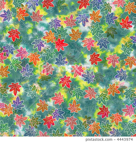 Chiyogami maple Chiyogami maple 4443974