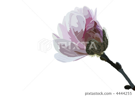 Spirit Spirit 4444255