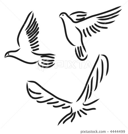 Set of white vector doves. 4444499