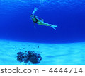 scuba diving 4444714
