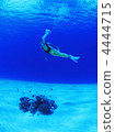 scuba diving 4444715