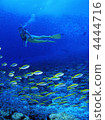 scuba diving 4444716