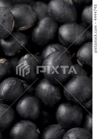 Tanba的黑豆 Tanba的黑豆 4444748